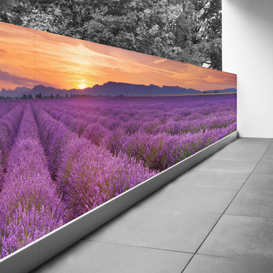 Frangivista per balcone - 130x520 cm - Campo di lavanda