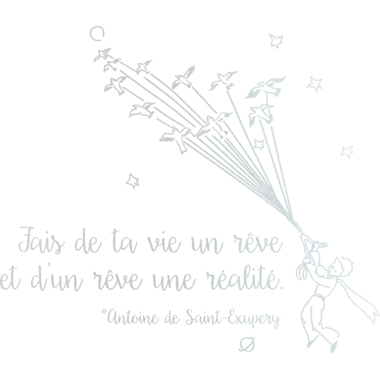 Pellicole Effetto sabbiato - Citazione Fai della tua vita un sogno