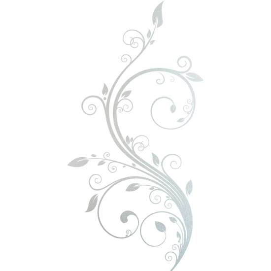 Pellicole Effetto sabbiato - Composizione floreale