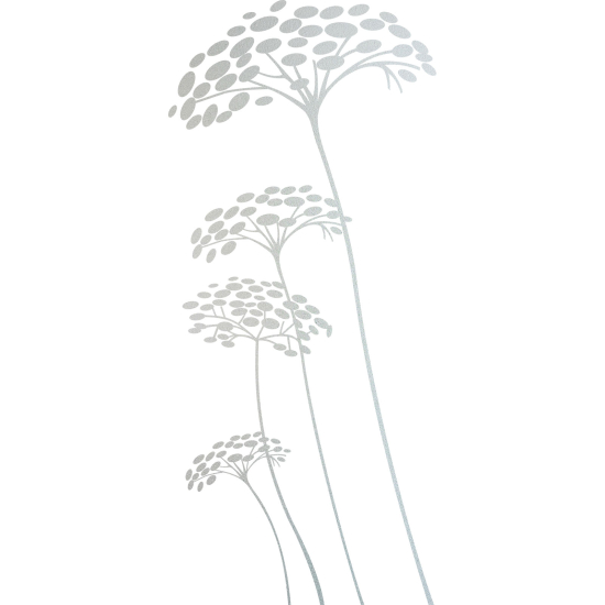 Pellicole Effetto sabbiato - Tarassaco