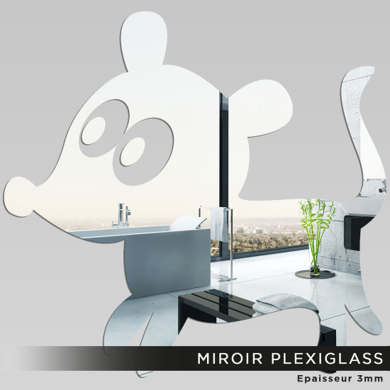 Specchio in plexiglass - Cane