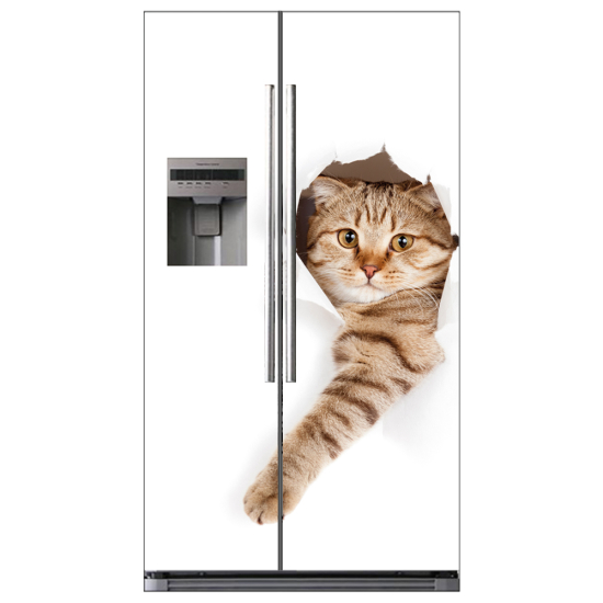 Adesivo per frigo americano - Chat